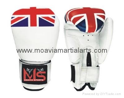 BOXING GLOVES 3