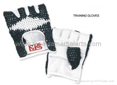 WEIGHT LIFTING GLOVES 2