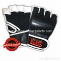 MMA Combat Gloves 2