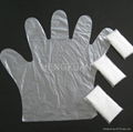 Disposable pe glove  2