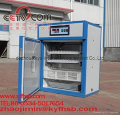 chicken egg incubator