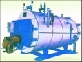 全自動WNS系列燃油(燃氣)蒸汽熱水鍋爐