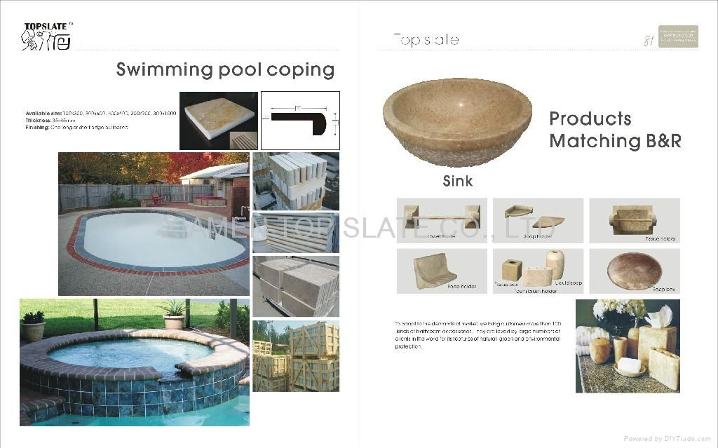 mosaic/ swimming pool coping/ products matching B&R/ stepping stone and others 4