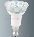   PAR38 LED Spotlight Bulb 1