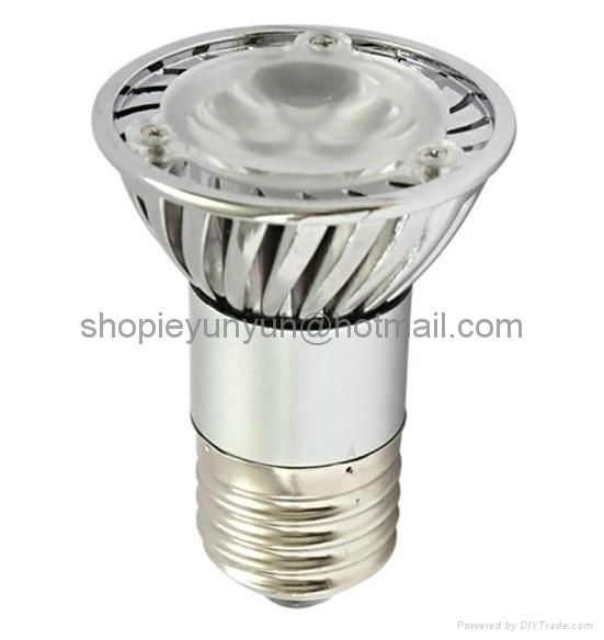   PAR38 LED Spotlight Bulb 2
