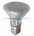 LED Spotlight Bulb