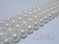 White Freshwater Pearl