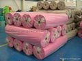 PP Nonwoven Fabric 2