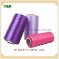 Polypropylene Multifilament Yarn