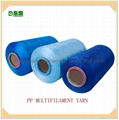 Polypropylene Multifilament Yarn 3