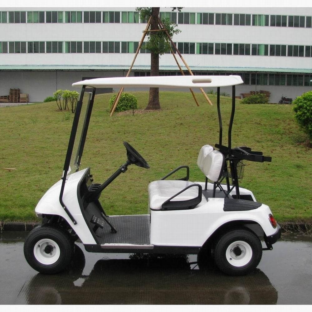 2座电动高尔夫球车 2