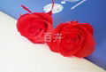 preserved Flowers ）red（ 2