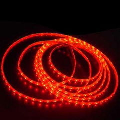 3528 300leds 24w Flexible LED Strip light