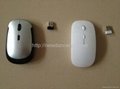 Cheapest Wireless Mouse 2.4G 