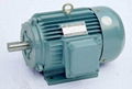 Y series three phase induction motor