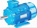 Y2  three phase induction motor