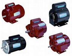 NEMA standard single phase electric motor