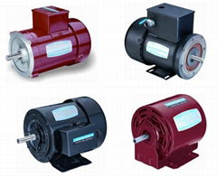 NEMA standard series three phase electric motor