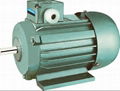 YS series three phase asynchronous motor 1