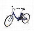 Rose electric assisted bicycles 1