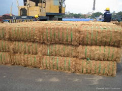 Coconut Fiber