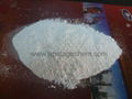 titanium dioxide rutile 1