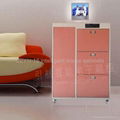 multifunctional shoe cabinets 1