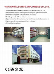 YingGao Electric Appliances Co.,Ltd