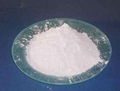 titanium dioxide 1