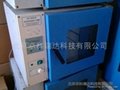 DHG-9036A電熱恆溫鼓風乾燥箱（二手）