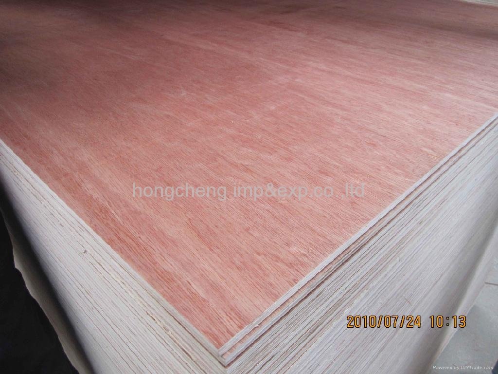 veneer plywood