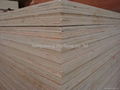 veneer plywood 3