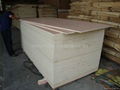 commercial plywood  1