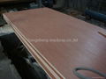 commercial plywood  4