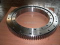 Slewing bearing 