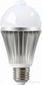 LED BULB