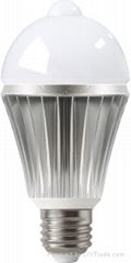 LED Bulb