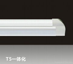 LED fluorescent