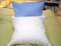 Down cushion