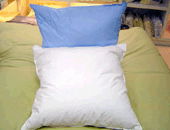 Down cushion