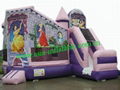 bouncy castle 1