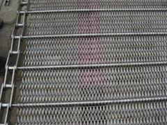 标准304不锈钢单冻机网链网带