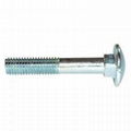 carriage bolt 3