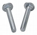 carriage bolt 5