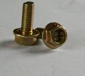 Hexagon bolts with flange 2