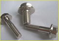 Hexagon bolts with flange 3