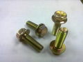 Hexagon bolts with flange 5