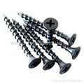 screw/Drywall Screw/Wood Screw 2