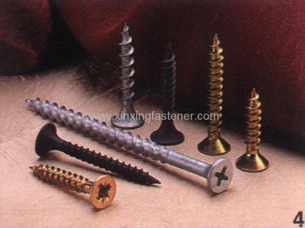 screw/Drywall Screw/Wood Screw 4