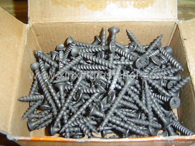 screw/Drywall Screw/Wood Screw 5